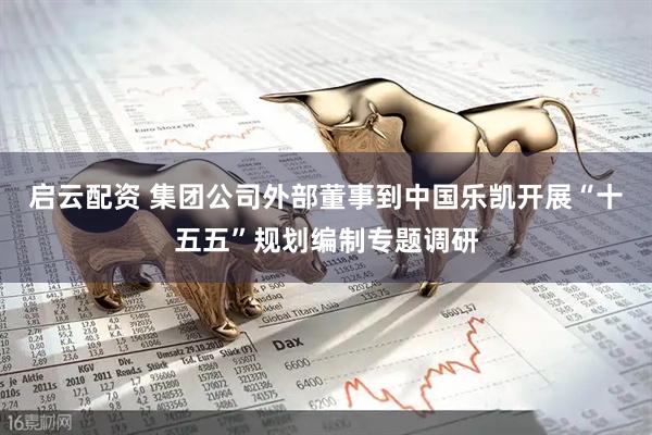 启云配资 集团公司外部董事到中国乐凯开展“十五五”规划编制专题调研