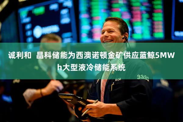 诚利和  晶科储能为西澳诺顿金矿供应蓝鲸5MWh大型液冷储能系统