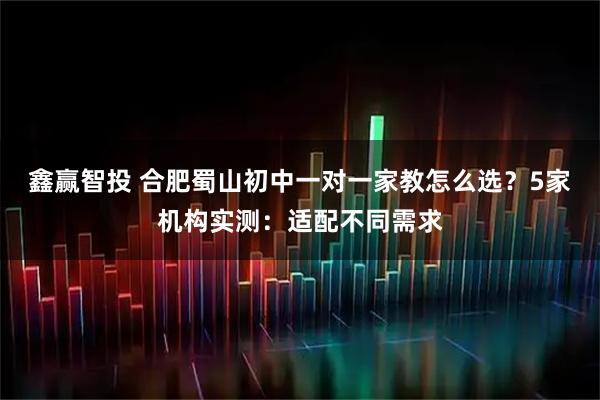 鑫赢智投 合肥蜀山初中一对一家教怎么选？5家机构实测：适配不同需求