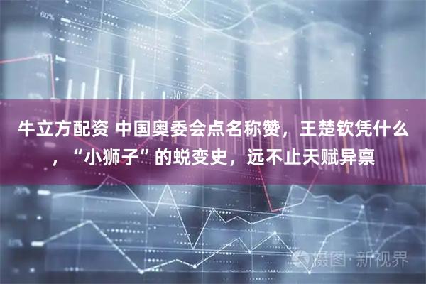 牛立方配资 中国奥委会点名称赞，王楚钦凭什么，“小狮子”的蜕变史，远不止天赋异禀